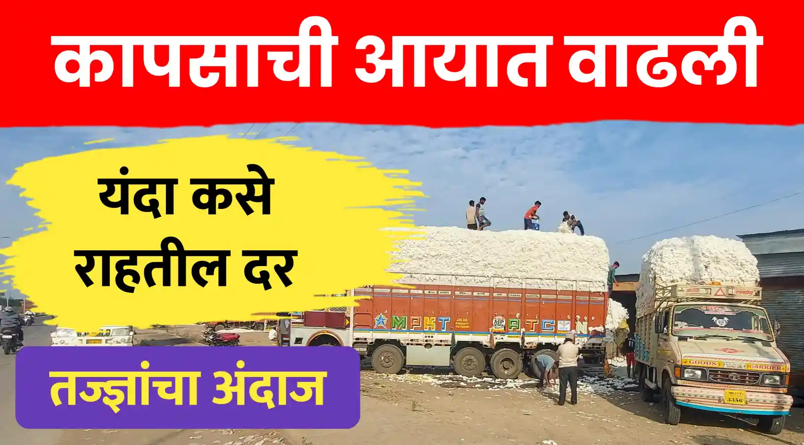 कापूस दरात मोठी घसरण की तेजी? आयात वाढल्याने बाजारातील चित्र बदलणार; शेतकऱ्यांची चिंता वाढली