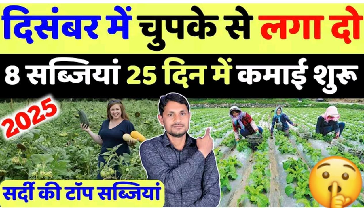 दिसंबर मे लगायें ये सब्जीया, बिकेगी 100₹ किलो, 30 दिन मे मालामाल...